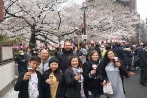 Evening Hanami (Cherry Blossom) Experience with a Local