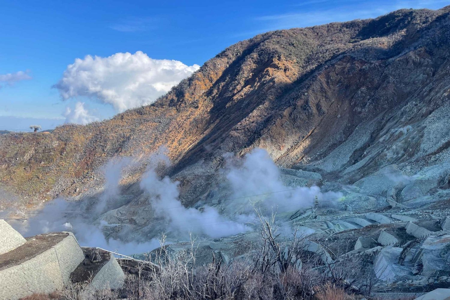 Fra Tokyo: Hakone heldagstur med privat guide
