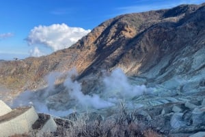 Fra Tokyo: Hakone heldagstur med privat guide