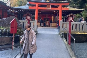 Fra Tokyo: Hakone heldagstur med privat guide