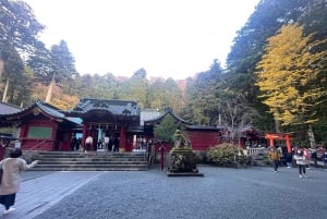 Fra Tokyo: Hakone heldagstur med privat guide