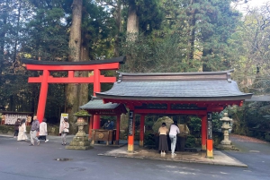 Fra Tokyo: Hakone heldagstur med privat guide