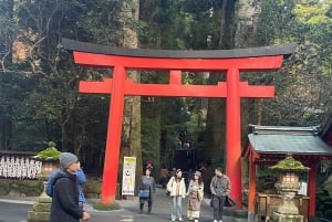 Fra Tokyo: Hakone heldagstur med privat guide