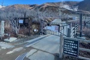 Fra Tokyo: Hakone heldagstur med privat guide