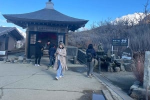 Fra Tokyo: Hakone heldagstur med privat guide