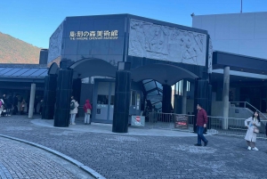 Fra Tokyo: Hakone heldagstur med privat guide