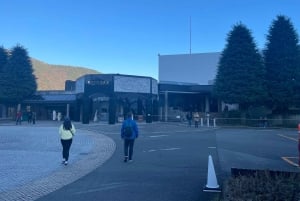 Fra Tokyo: Hakone heldagstur med privat guide