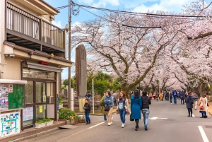 Исследуйте Старый город Токио: пешая экскурсия с гидом