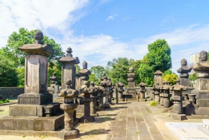 Исследуйте Старый город Токио: пешая экскурсия с гидом