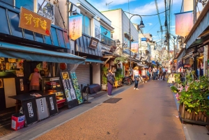 Исследуйте Старый город Токио: пешая экскурсия с гидом