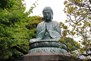 Исследуйте Старый город Токио: пешая экскурсия с гидом