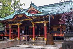 Исследуйте Старый город Токио: пешая экскурсия с гидом