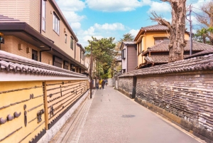 Исследуйте Старый город Токио: пешая экскурсия с гидом