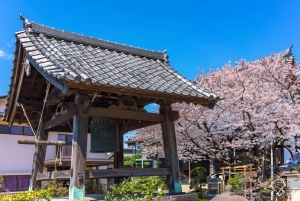 Исследуйте Старый город Токио: пешая экскурсия с гидом