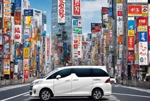 Recorrido en coche privado de 5 horas por Tokio con traslado al aeropuerto NRT/HND