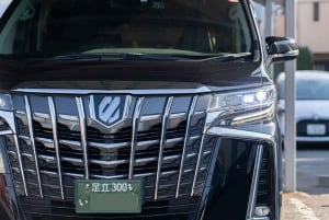 Recorrido en coche privado de 5 horas por Tokio con traslado al aeropuerto NRT/HND