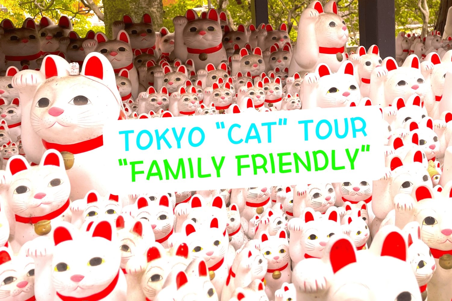 Tokyo: Gotokuji-lykkekatttempel og Harajuku Shibuya-kattekafé