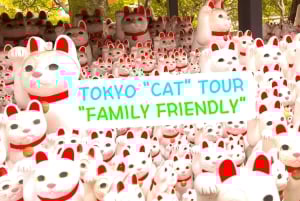 Tokyo: Gotokuji-lykkekatttempel og Harajuku Shibuya-kattekafé