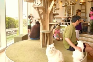 Tokyo: Gotokuji-lykkekatttempel og Harajuku Shibuya-kattekafé