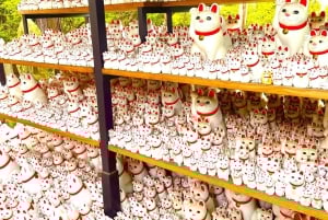 Tokyo: Gotokuji-lykkekatttempel og Harajuku Shibuya-kattekafé