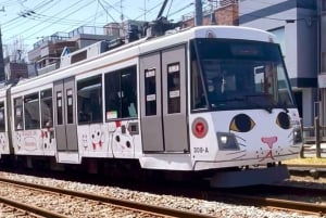 Tokyo: Gotokuji-lykkekatttempel og Harajuku Shibuya-kattekafé