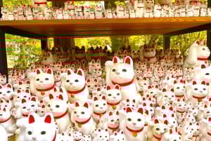 Tokyo: Gotokuji-lykkekatttempel og Harajuku Shibuya-kattekafé