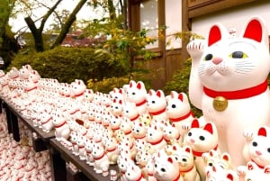 Tokyo: Gotokuji-lykkekatttempel og Harajuku Shibuya-kattekafé