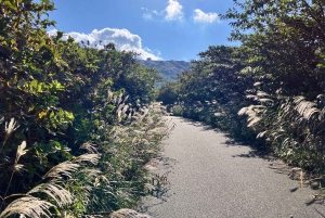 Känn vulkanen genom att vandra på Mt.Mihara