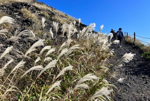 Känn vulkanen genom att vandra på Mt.Mihara