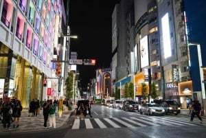 Finest Quality Sushi & Tempura Dining Experience in Ginza
