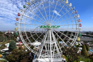 (Для зарубежных гостей) Токио: билет в парк развлечений Yomiuri Land