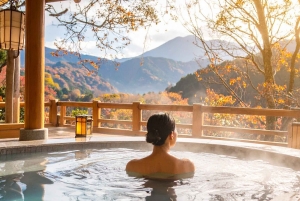 Из Нагано и Токио: частная поездка в Нагано с возможностью полной адаптации