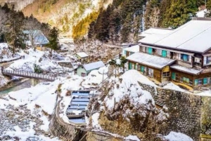 Из Нагано и Токио: частная поездка в Нагано с возможностью полной адаптации