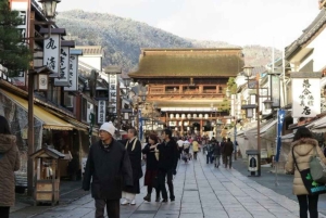 Из Нагано и Токио: частная поездка в Нагано с возможностью полной адаптации