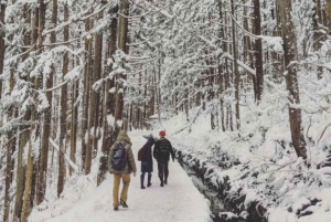 Из Нагано и Токио: частная поездка в Нагано с возможностью полной адаптации