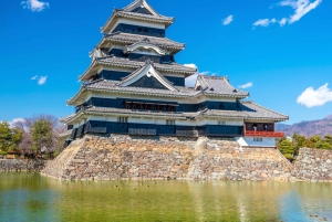 Из Нагано и Токио: частная поездка в Нагано с возможностью полной адаптации