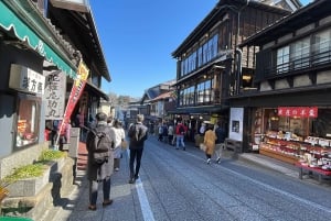 Från Narita flygplats: Privat mellanlandning eller guidad tur med transit