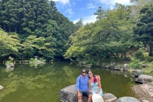 Från Narita flygplats: Privat mellanlandning eller guidad tur med transit