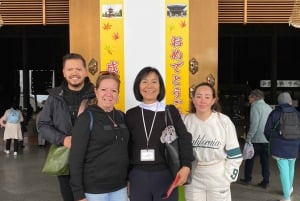 Från Narita flygplats: Privat mellanlandning eller guidad tur med transit