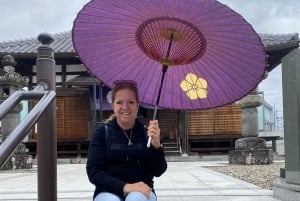 Från Narita flygplats: Privat mellanlandning eller guidad tur med transit