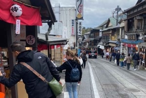 Från Narita flygplats: Privat mellanlandning eller guidad tur med transit