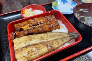 Från Narita flygplats: Privat mellanlandning eller guidad tur med transit