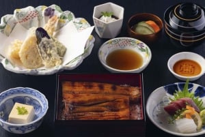 Från Narita flygplats: Privat mellanlandning eller guidad tur med transit