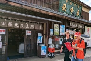 成田空港発：プライベート乗り継ぎまたはトランジットガイド付きツアー