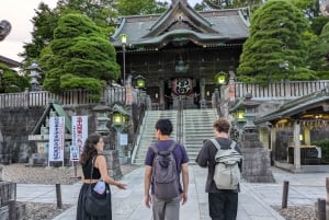 成田空港発：プライベート乗り継ぎまたはトランジットガイド付きツアー