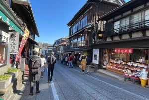 成田空港発：プライベート乗り継ぎまたはトランジットガイド付きツアー