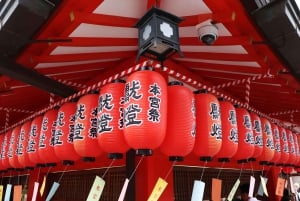 Osaka: hoogtepunten van Kyoto en Nara (7-9 plekken)