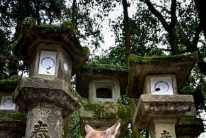 Osaka: hoogtepunten van Kyoto en Nara (7-9 plekken)