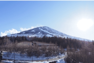 From Tokoyo - Mount FUJI Classic Highlight Joiner Day Tour