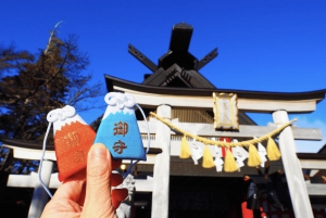 From Tokoyo - Mount FUJI Classic Highlight Joiner Day Tour